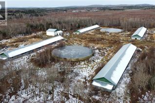 Farm for Sale, 0 Route 615, Springfield, NB