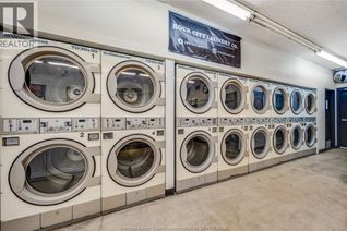 Non-Franchise Business for Sale, 380 Mill Street, Windsor, ON
