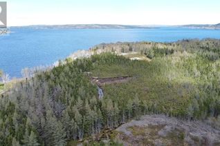 Property for Sale, 0 Sandy Point Road, Norris Arm, NL Property for Sale, 0 Sandy Point Road, Norris Arm, NL