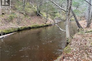 Commercial Land for Sale, Lot Route 515, Sainte-Marie-De-Kent, NB