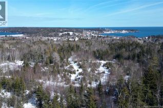 Commercial Land for Sale, 176 Route 776, Grand Manan, NB