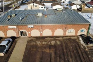 Non-Franchise Business for Sale, 5301 50 Avenue, Castor, AB