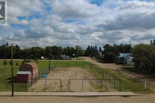 Property for Sale, 113 1 Street E, Alliance, AB