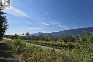 Commercial Land for Sale, 11328 E 16 Highway, Valemount, BC