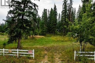 Commercial Land for Sale, Lot 3, Plan Nep83874, District Lot 8, Windermere, BC