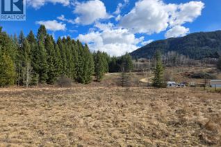 Commercial Land for Sale, Lot 4 Bridgeview Road, Castlegar, BC