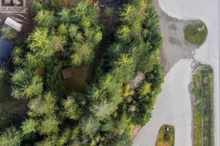 Property for Sale, Balfour Avenue Lot# Lot 8, Kaslo, BC