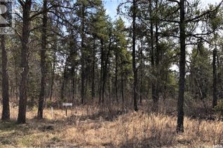 Commercial Land for Sale, Rec Lot 12/2, Hudson Bay Rm No. 394, SK