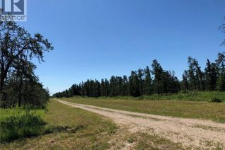 Commercial Land for Sale, Rec Lot 13/3, Hudson Bay Rm No. 394, SK