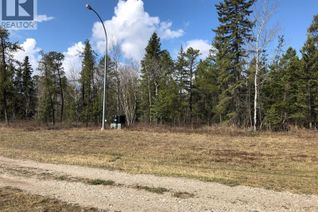 Commercial Land for Sale, Rec Lot 3/2, Hudson Bay Rm No. 394, SK