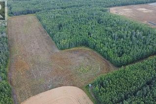 Land for Sale, Part Of Ne-10-66-22-W4, Rural Athabasca County, AB