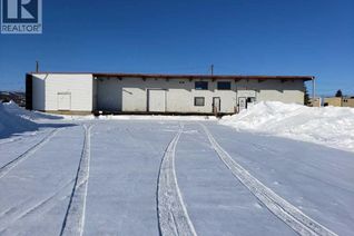 Commercial/Retail Property for Sale, 9510 90 Avenue, Peace River, AB