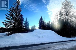 Commercial Land for Sale, 55 Dawson Crescent, Elkford, BC