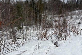 Commercial Land for Sale, Lot 0 County Road 38, Frontenac (Frontenac Centre), ON