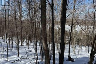 Land for Sale, 22 Walpole Street W, Huntsville (Chaffey), ON Land for Sale, 22 Walpole Street W, Huntsville (Chaffey), ON