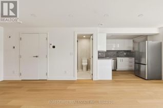 Property for Rent, 250 Hallam Street #Lower, Toronto (Dovercourt-Wallace Emerson-Junction), ON