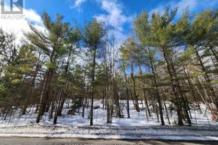 Property for Sale, 00 Manitoba Street, Bracebridge (Macaulay), ON