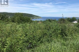 Land for Sale, 0 Browns Road, Spaniards Bay, NL