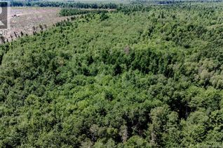 Property for Sale, Vacant Lot Ch Nw Aldouane River Rd, Saint-Charles, NB