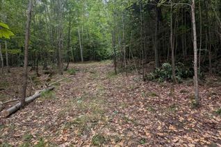 Property for Sale, 00 Kamaniskeg Lake Road, Hastings Highlands (Bangor Ward), ON Property for Sale, 00 Kamaniskeg Lake Road, Hastings Highlands (Bangor Ward), ON