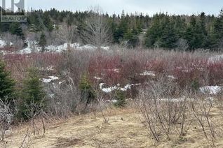 Commercial Land for Sale, 9-21 Cottors Street, Carbonear, NL