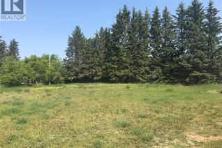 Commercial Land for Sale, 214 Gordon Avenue, Orkney Rm No. 244, SK