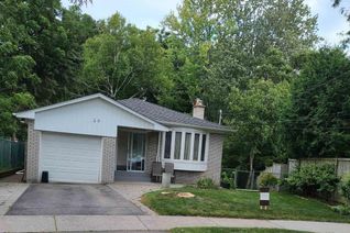 Detached House for Rent, 29 Ravenview Drive #Basement, Toronto (West Hill), ON