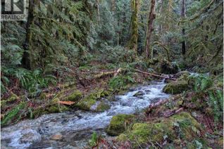 Commercial Land for Sale, 2045 N Rustad Road, Squamish, BC