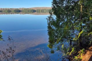 Land for Sale, 2193 Fern Glen Road S, McMurrich/Monteith (McMurrich), ON