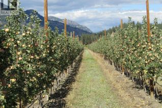 Commercial Farm for Sale, 2705 75th Avenue, Grand Forks, BC Commercial Farm for Sale, 2705 75th Avenue, Grand Forks, BC