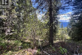 Property for Sale, Lot 2 Lois Lane, Winlaw, BC