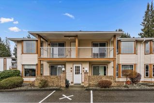 Townhouse for Sale, 2456 Ware Street #14, Abbotsford, BC Townhouse for Sale, 2456 Ware Street #14, Abbotsford, BC
