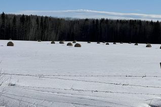 Land for Sale, Se-12-49-8- W5m, Rural Brazeau County, AB