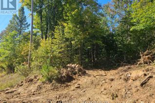 Property for Sale, Part Lot 32 And 33 Part 2 Conc 1 Concession, Minden Hills (Snowdon), ON