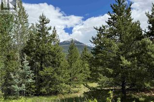 Commercial Land for Sale, 2 Starview Road #LOT, Valemount, BC