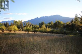 Property for Sale, Lot 4 Alexander Road, Nakusp, BC