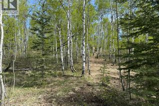 Land for Sale, 29066 Range Road 52 #40, Rural Mountain View County, AB Land for Sale, 29066 Range Road 52 #40, Rural Mountain View County, AB