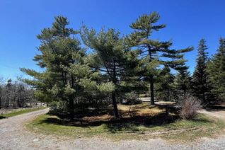 Property for Sale, 492 Crandall Road, Port Hawkesbury, NS Property for Sale, 492 Crandall Road, Port Hawkesbury, NS