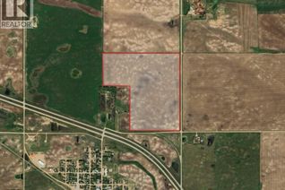 Commercial Farm for Sale, Rm190 - Tanner, Dufferin Rm No. 190, SK