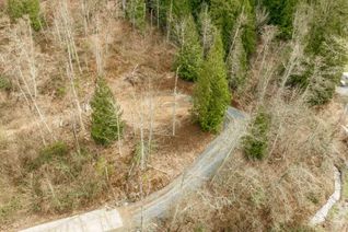 Commercial Land for Sale, 48875 Elk View Road, Chilliwack, BC