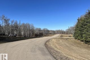 Commercial Land for Sale, 28 62331 Rr 411a, Rural Bonnyville M.D., AB