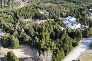 Property for Sale, 149 Springfield Road, South River, NL