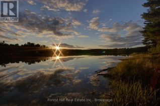 Land for Sale, 1130 Chetwynd Road, Armour, ON