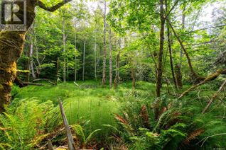Vacant Residential Land for Sale, Lot 3 - 384 Seaspray Dr, Metchosin, BC