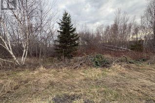 Property for Sale, Lot - Oak Street, Trenton, NS