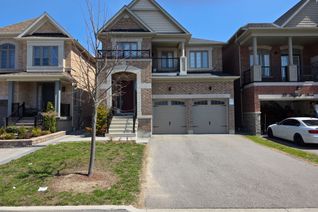 Property for Rent, 33 Hayeraft St #Basement, Whitby, ON