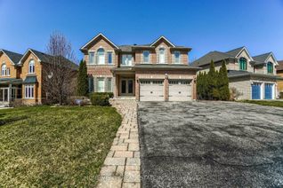 Property for Rent, 24 E Sandbanks Dr E #BSMT, Richmond Hill, ON