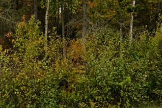 Property for Sale, none Sweezey St, Powassan, ON