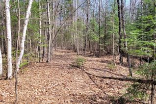 Vacant Residential Land for Sale, TBD Gelert Rd, Minden Hills, ON
