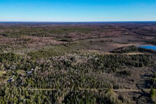Land for Sale, LT 4 Dutch Line Rd W, Trent Lakes, ON